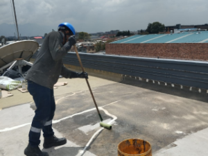 IMG-20231117-WA0058 1